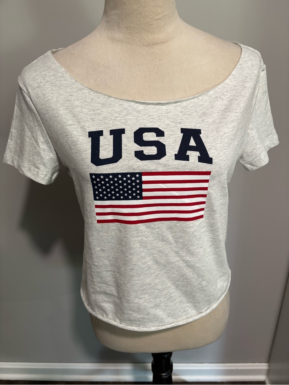 Edikted USA Flag Graphic Crop Tee NWT